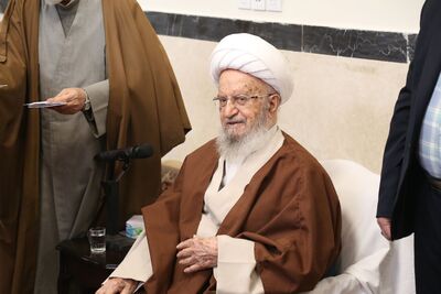 فتوای آیت‌الله مکارم درباره همستر اعلام شد