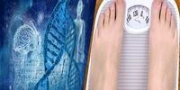 آنچه از ژن لاغری نمی دانید!