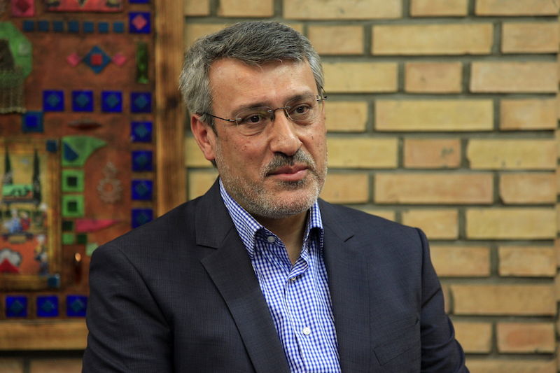 واکنش سفیر ایران به اعتصاب همسر نازنیم زاغری مقابل سفارت