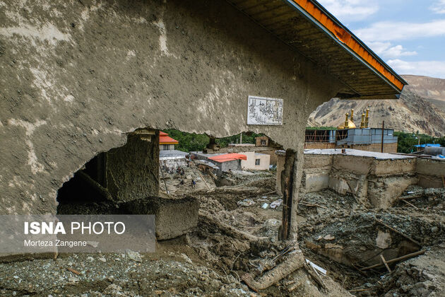 62335714_zangene-4