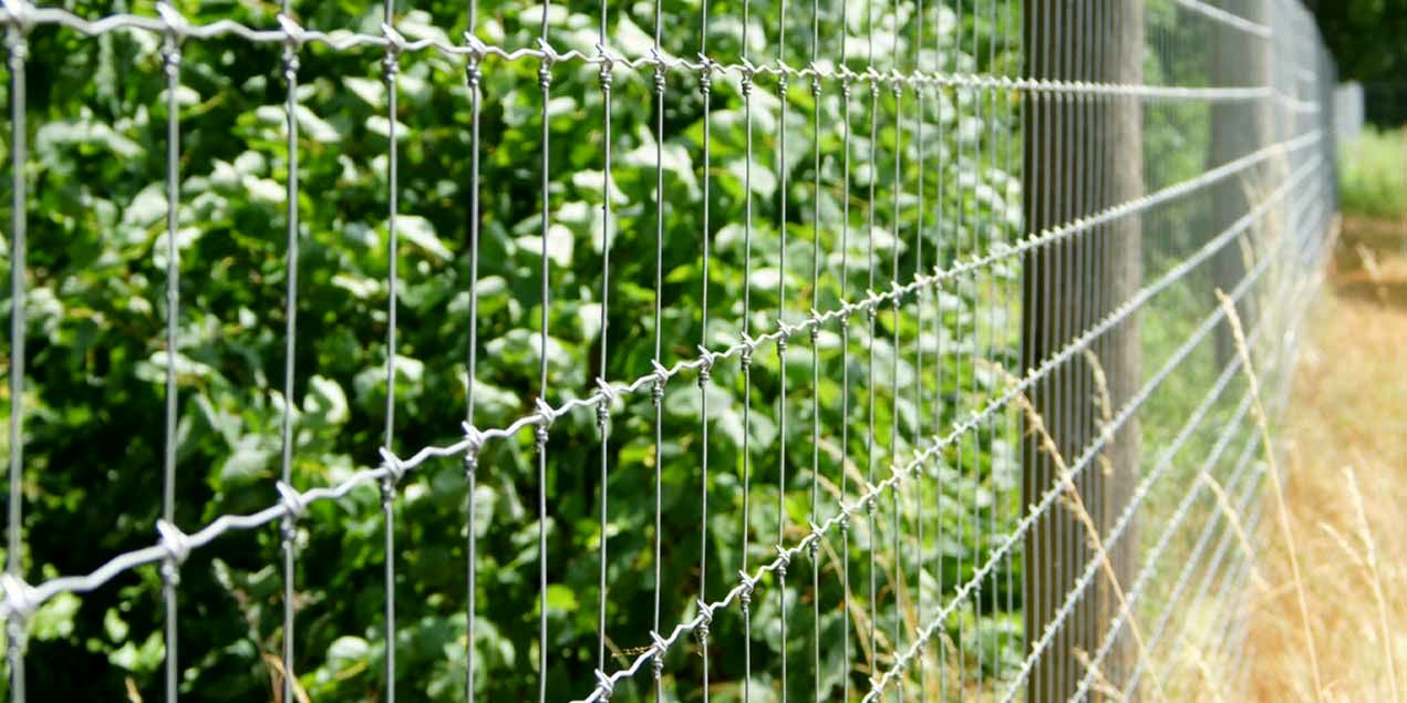 بهترین تامین‌کنندگان لوله فنس در ایران + قیمت‌ها