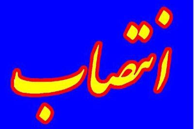 یک اهل سنت معاون وزیر تعاون شد/ انتصاب حامد قادرمرزی به‌عنوان مدیرعامل صندوق بیمه اجتماعی کشاورزان 