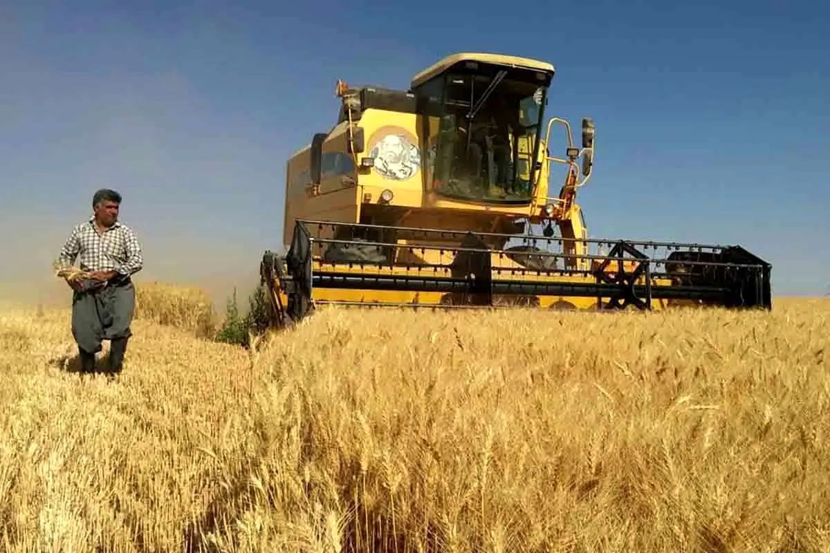 خبر خوش برای گندم‌کاران/ مطالبات گندم‌کاران تسویه شد