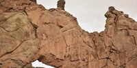 تصاویر| اینجا قلعه لک‌لک‌هاست...