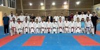 حمید استیلی سر از تیم ملی کاراته درآورد