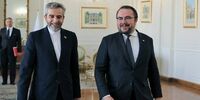 باقری: اروپا در هر زمینه گزینه تعامل را انتخاب کند، واکنش ما مثبت است