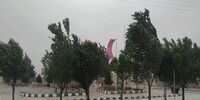 طوفان پرسرعتی که این استان را درنوردید/محصولات کشاورزی در خطر سرمازدگی