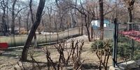 توضیحات شهرداری تهران درباره ساخت مسجد در بوستان قیطریه