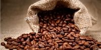 فواید غیرمنتظره یک فنجان قهوه برای مبتلایان به سرطان روده بزرگ

