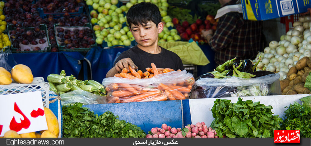 برای افزایش انرژی و تمرکز در پاییز از این گیاهان مصرف کنید


