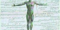 دیه هر عضو از بدن انسان/ دیه زبان چند؟+اینفوگرافی