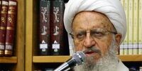 ریشه‌های گرانی و راهکار مقابله با آن از نگاه مکارم‌شیرازی