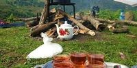 خطرات نوشیدن چای داغ در لیوان کاغذی
