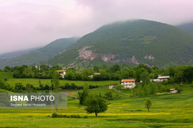 62300390_seyyed-vahid-hosseini-roudbar-14-