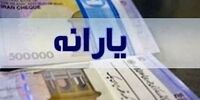 امشب برای چه کسانی یارانه واریز می‌شود؟ + فیلم