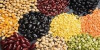 قیمت جدید انواع حبوبات بسته بندی

