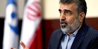 پاسخ سخنگوی سازمان انرژی اتمی ایران به اقدام ضدایرانی شورای حکام 