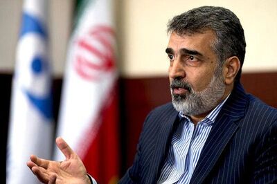پاسخ سخنگوی سازمان انرژی اتمی ایران به اقدام ضدایرانی شورای حکام 