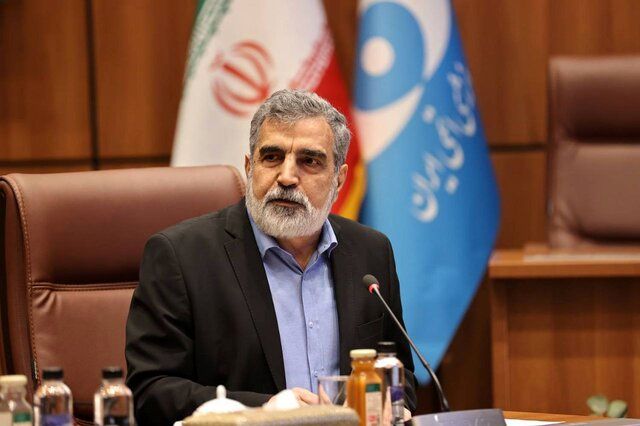 با وجود سنگ‌اندازی آمریکا، برای تصویب قطعنامه پیشنهادی ایران تلاش می‌کنیم
