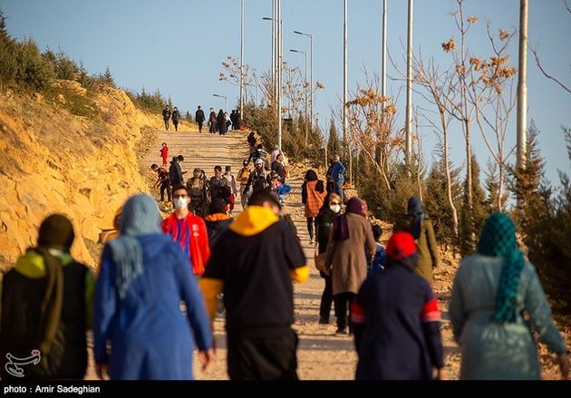 پیاده روی شیراز