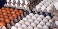 علت دو نرخی بودن تخم مرغ در بازار چیست؟