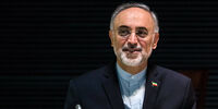 صالحی: در برجام هیچ‌کدام از حقوق فنی هسته‌ای‌مان را واگذار نکردیم/ گام های آمریکا برای رفع تحریم باید شامل فروش نفت و روابط بانکی شود