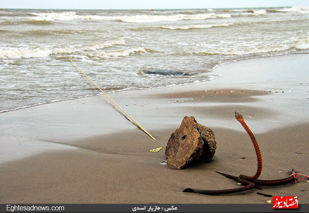 لحظه به لحظه نبرد با دریا برای یک لقمه نان + گزارش تصویری