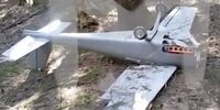 سقوط پهپاد حامل مواد منفجره در نزدیکی مسکو

