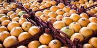 بازار سیاه پرتقال و نارنگی به دست دلالان راه افتاد!