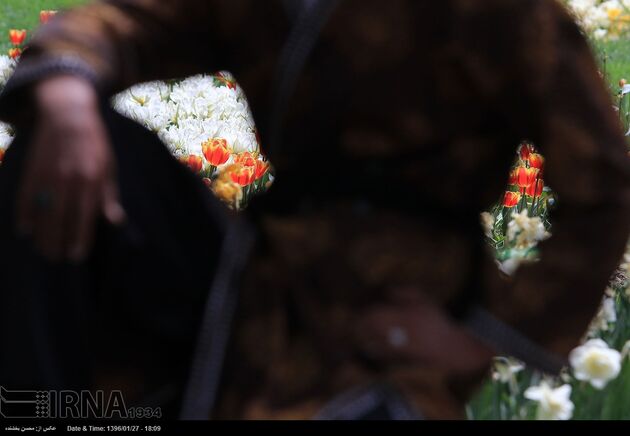 جشنواره گل ها در مشهد