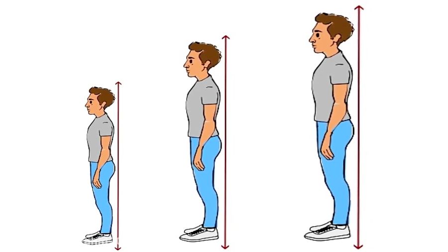 با این راهکار می‌توانید قدتان را بلند کنید