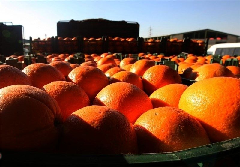 قیمت مصوب میوه شب عید اعلام شد/ قیمت سیب و پرتقال چند؟