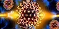 خبری نگران کننده برای جهان درباره ویروس کرونا
