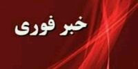  فوری/آتش بس بین مقاومت و اسرائیل برقرار شد + مفاد توافقنامه