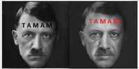 تظاهرات میلیونی علیه اردوغان در توییتر! + عکس و فیلم