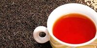 افزایش تولید چای درجه‌یک ایرانی