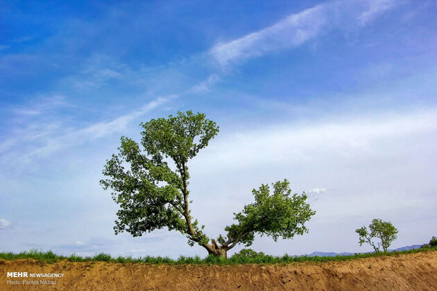 3771607_IMG_1355