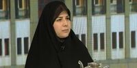 طبق بودجه ۱۴۰۴ این افراد هم می‌توانند خودرو وارد کنند
