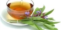 این گیاه پرمصرف تسکین دهنده طبیعی درد است