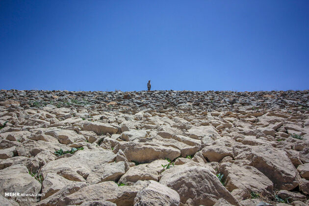 3766108_IMG_1986