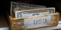 سپر دلاری بازار بورس در برابر قیمت‌های جهانی