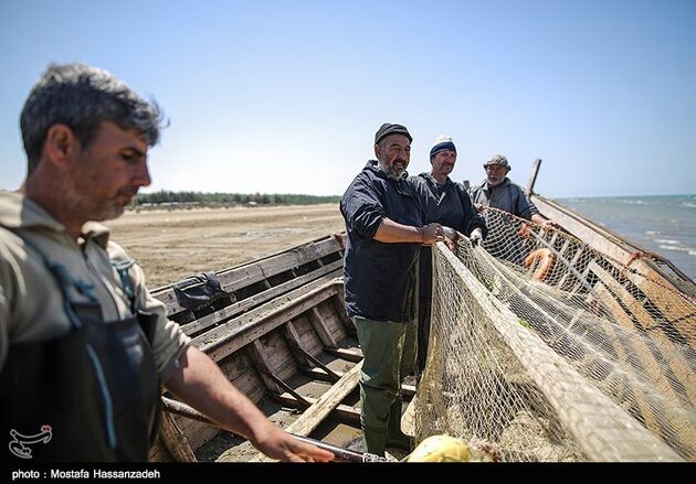 پایان فصل صید ماهی در میانکاله