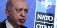 رایزنی تلفنی دبیرکل ناتو و اردوغان درباره فنلاند و سوئد