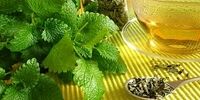 فواید شگفت انگیز این گیاه دارویی برای روزه داران!
