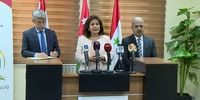 آمادگی اردن و سوریه برای تأمین برق لبنان