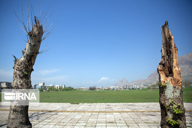 گزارش تصویری