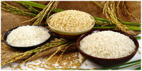 قیمت جدید انواع برنج ایرانی اعلام شد