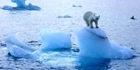 هشدار جدی زیست محیطی در مورد یخ های قطب شمال