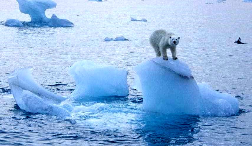 قطب شمال دیگر یخ نمی زند!