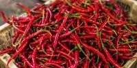 صادرات فلفل به روسیه دوباره از سر گرفته میشود